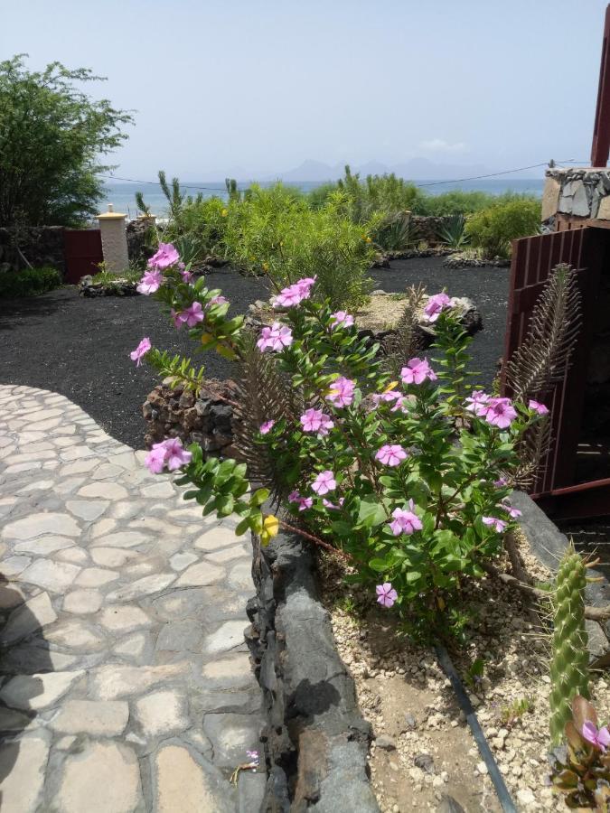Coin de Paradis,Pavillon Doucimar Porto Novo Exterior foto